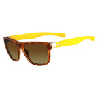 55mm L664S Injected Sunglasses