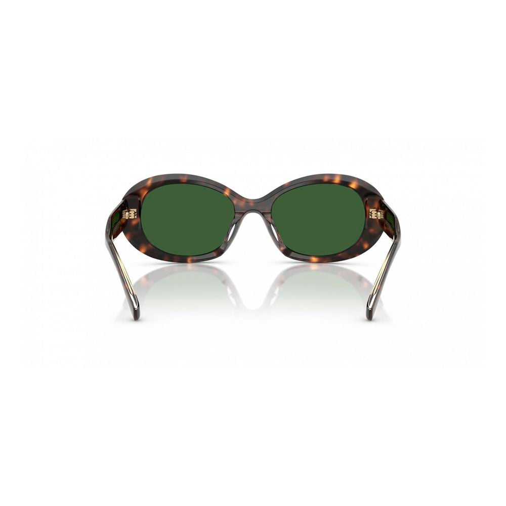 53/19/140 Brown Acetate Sunglasses